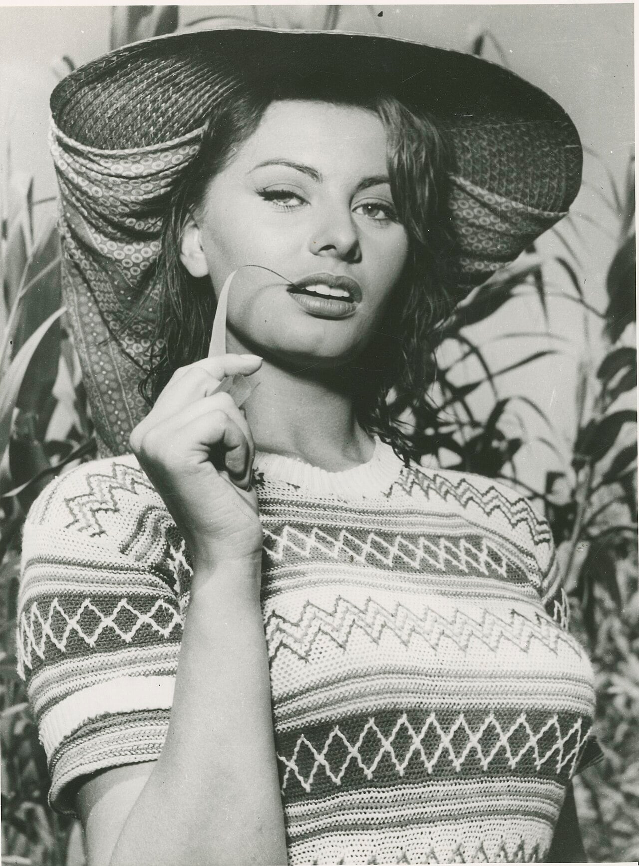 Sophia Loren