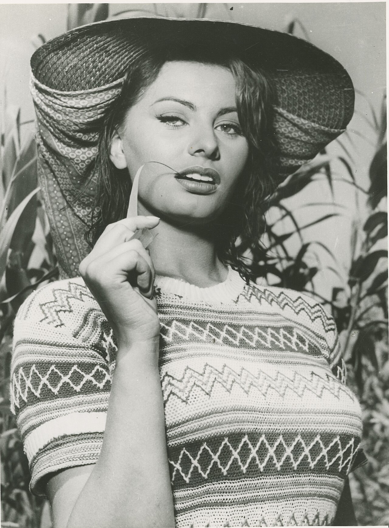 Sophia Loren